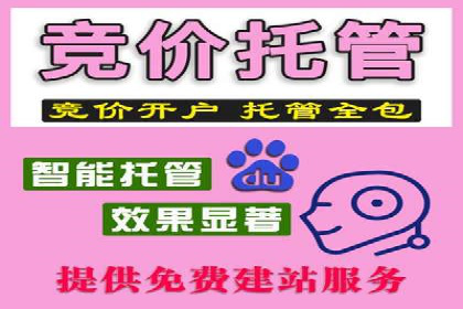 案例解析：SEM代运营机构助力企业业绩突破